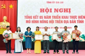 Các cá nhân có thành tích xuất sắc trong 5 năm triển khai thực hiện mô hình Nông hội trên địa bàn tỉnh được Chủ tịch UBND tỉnh tặng Bằng khen. Ảnh Đức Thụy