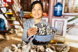 Bà Vũ Thị Thanh (thôn 2, xã Diên Phú) bên sản phẩm nấm sạch của gia đình. Ảnh: Đ.Y