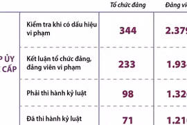 Một số kết quả kiểm tra, giám sát và thi hành kỷ luật của Đảng năm 2024