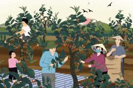 Minh họa: HUYỀN TRANG