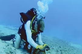 Hai tuyến cáp quang đang bị lỗi, Internet đi quốc tế ảnh hưởng thế nào?