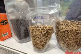 Giá cà phê hôm nay 10-5: Robusta lại đi lùi, người giữ cà phê sốt ruột