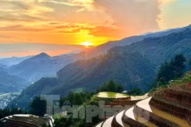 Ruộng bậc thang Mù Cang Chải vào mùa nước đổ đẹp như tranh vẽ