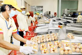 Thúc đẩy doanh nghiệp tư nhân phát triển xứng tầm