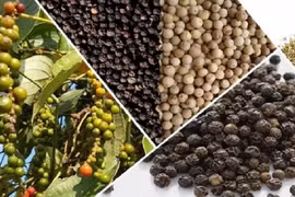 Ảnh minh họa. Nguồn: Internet