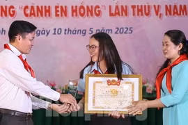 Bình Định trao giải thưởng 'Cánh én hồng' cho giáo viên Tổng phụ trách Đội tiêu biểu