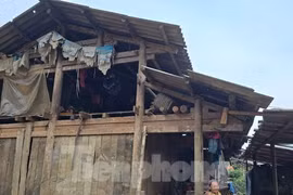 Chuyện xóa nhà tạm ở vùng cao - Bài 3: Khi lính biên phòng 'xuất kích'