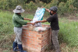 Hội viên nông dân thôn An Xuân 3 (xã Xuân An) thu gom bao bì thuốc BVTV bỏ vào bể chứa. Ảnh: N.M