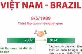 Quan hệ Đối tác Chiến lược giữa Việt Nam và Brazil