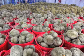 Ảnh minh họa. Nguồn: Internet