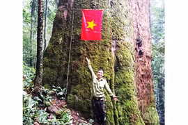 Đến với 'kho vàng' trên mù mây