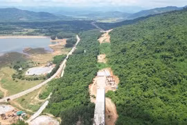 Bình Định muốn chuyển hơn 250 ha rừng để làm cao tốc