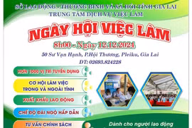 Sở Lao động-Thương binh và Xã hội tỉnh Gia Lai, Trung tâm dịch vụ việc làm