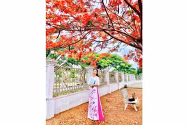 Khung trời mùa hạ