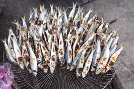 Cá trích gây 'sốt' mạng xã hội