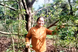 Tín dụng chính sách “tiếp sức” cựu chiến binh thoát nghèo