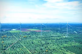 Đánh thức miền di sản xanh Bàu Cạn