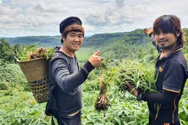 Những “đại sứ du lịch” từ buôn làng