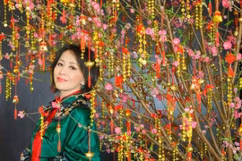 Loạt sao Hoa, Hàn tưng bừng đón Xuân Ất Tỵ