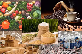 Thủ tướng yêu cầu tập trung thúc đẩy sản xuất, tiêu thụ và xuất khẩu nông lâm thủy sản trong bối cảnh biến động thương mại toàn cầu