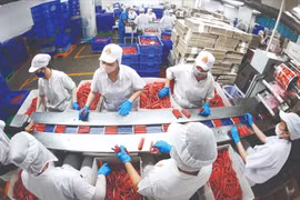 Nền móng thúc đẩy kinh tế tư nhân phát triển