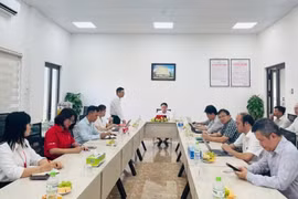 Đổi mới tư duy, nhận diện rõ dư địa tăng trưởng