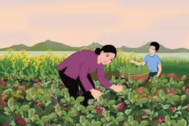 Minh họa: HUYỀN TRANG