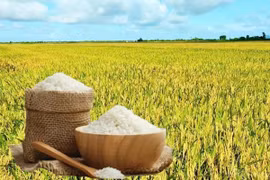 Giá gạo 5% tấm xuất khẩu của Việt Nam lấy lại vị trí số 1 thế giới