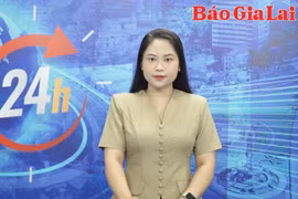 Gia Lai 24h: Nghiêm cấm việc chiếm giữ, hủy trái phép tài liệu khi sắp xếp tổ chức bộ máy