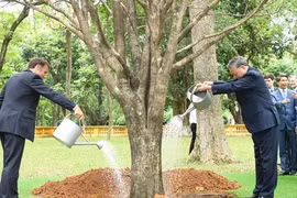 Tổng Bí thư Tô Lâm cùng Tổng thống Pháp Emmanuel Macron trồng cây hữu nghị