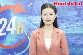 Gia Lai 24h: Giá cà phê tăng, nông dân ghim hàng khiến cơ sở chế biến “đau đầu”