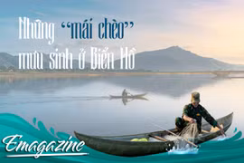 Những “mái chèo” mưu sinh ở Biển Hồ