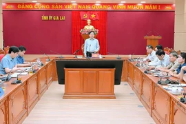 Gia Lai phấn đấu đến năm 2030, kinh tế số đóng góp 30% vào GRDP của tỉnh