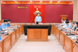 Gia Lai phấn đấu đến năm 2030, kinh tế số đóng góp 30% vào GRDP của tỉnh