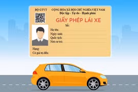 Điểm tin trưa: Kiểm tra kiến thức phục hồi điểm giấy phép lái xe bị trừ hết 12 điểm