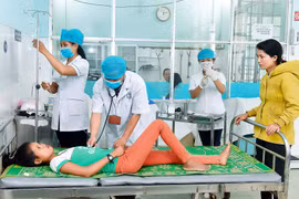 Toàn cảnh Gia Lai 24h: Nhiều dịch bệnh gia tăng khoảng 30% dịp cận Tết Nguyên đán