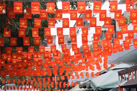 Thành phố mang tên Bác rực rỡ cờ hoa chào mừng Đại hội XIV của Đảng