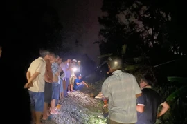 Hiện trường vụ tai nạn trên tuyến đường đường sắt Bắc - Nam (đoạn qua xã Bình Dương, tỉnh Gia Lai) khiến nhân viên tuần đường tử vong tại chỗ.