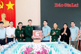 Phó Bí thư Tỉnh ủy Nguyễn Ngọc Lương làm việc với Ban Thường vụ Huyện ủy Đức Cơ