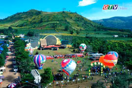 Khai mạc Tuần lễ Hoa Dã quỳ-Núi lửa Chư Đang Ya