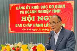 20 tổ chức cơ sở Đảng đạt tiêu chuẩn “Hoàn thành xuất sắc nhiệm vụ” tiêu biểu năm 2024