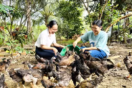 An Vinh phấn đấu đến năm 2030 không còn hộ nghèo 