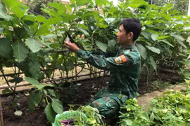 Đồn Biên phòng Ia Lốp: Đẩy mạnh tăng gia sản xuất để cải thiện đời sống bộ đội 