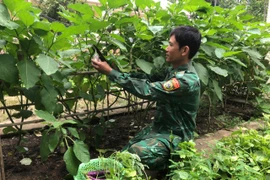 Đồn Biên phòng Ia Lốp: đẩy mạnh tăng gia sản xuất để cải thiện đời sống bộ đội 