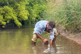 Lên núi săn cua đá