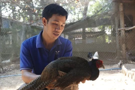 Tuân thủ pháp luật để phát triển bền vững