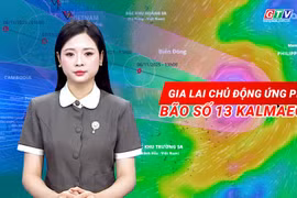Gia Lai chủ động ứng phó bão số 13 Kalmaegi