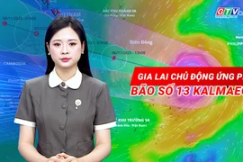 Gia Lai chủ động ứng phó bão số 13 Kalmaegi