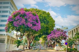 Pleiku, miền nhớ...