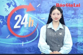 Gia Lai 24h: Phường Pleiku vận hành thử nghiệm cơ chế họp Ban Thường vụ, Ban Chấp hành Đảng bộ phường